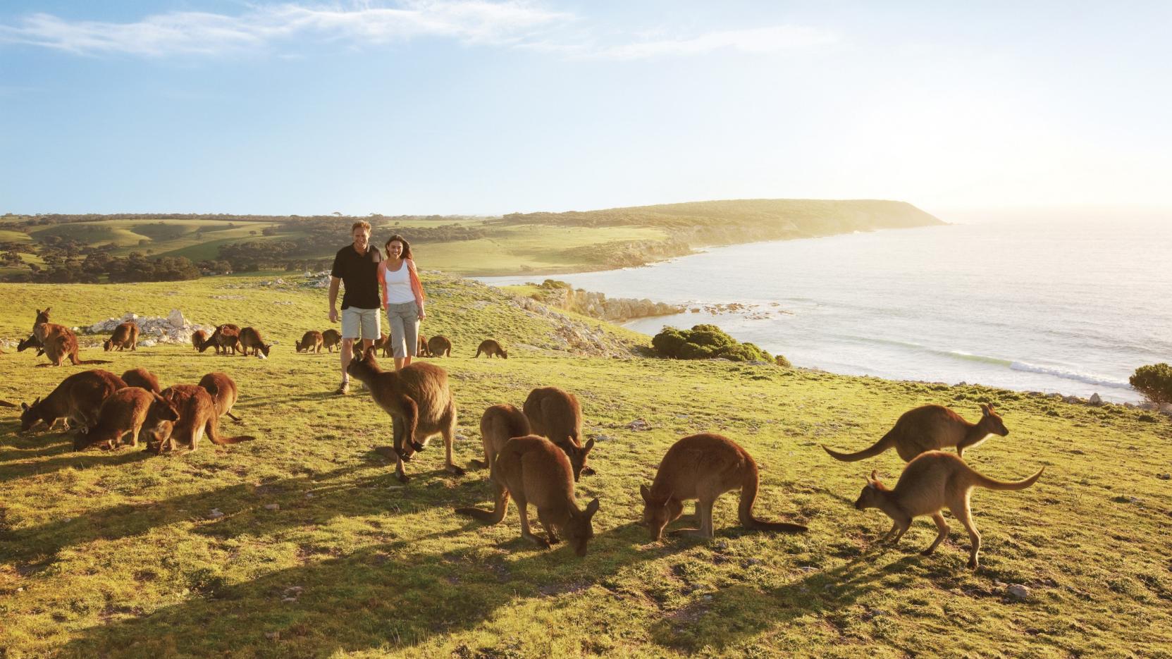 Kangaroo Island